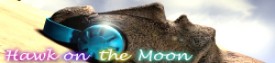 Hawk Banner